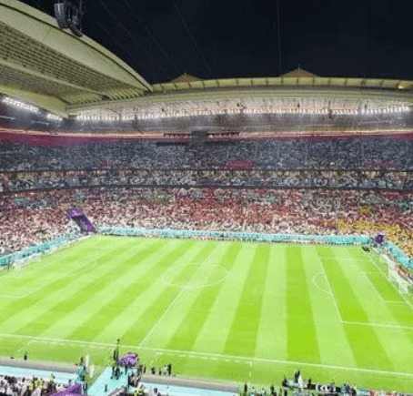 冯雨分享奥,运花游金牌,背后的团队,开云入口官网,开云入口,开云体育app下载,开云代理,开云全站