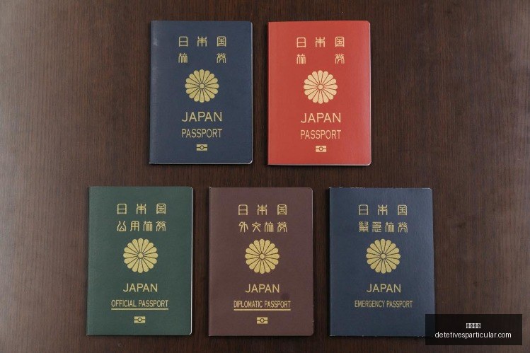 国际雪联就,女子跳台滑,雪薪酬争议,开云入口官网,开云入口,开云体育app下载,开云代理,开云全站