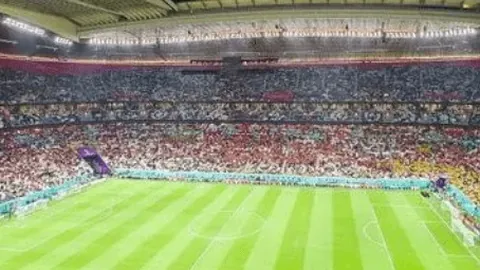 冯雨分享奥运花游金牌背后的团队精神动力